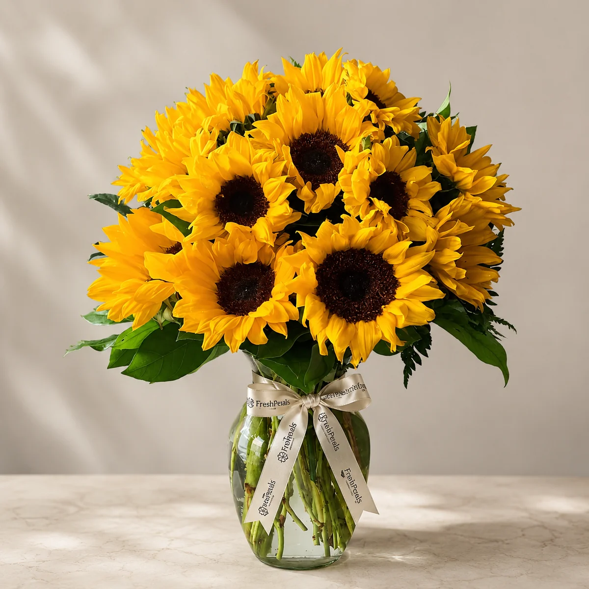 Dear Sunshine